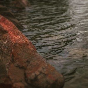 Meet your Posher, Joey